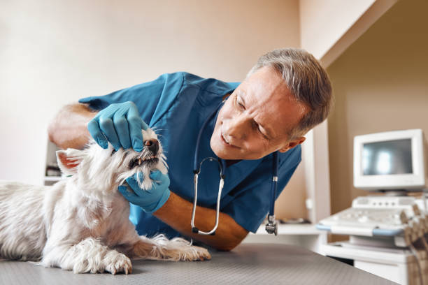 Best Emergency Treatment for Jaw Pain or Injury in Prince Frederick, MD